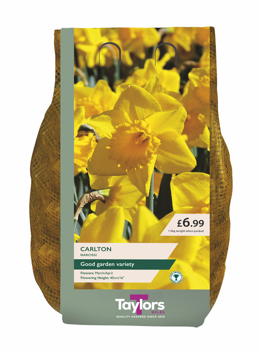 Packaging of Taylors daffodil bulbs with yellow flowers on a white background