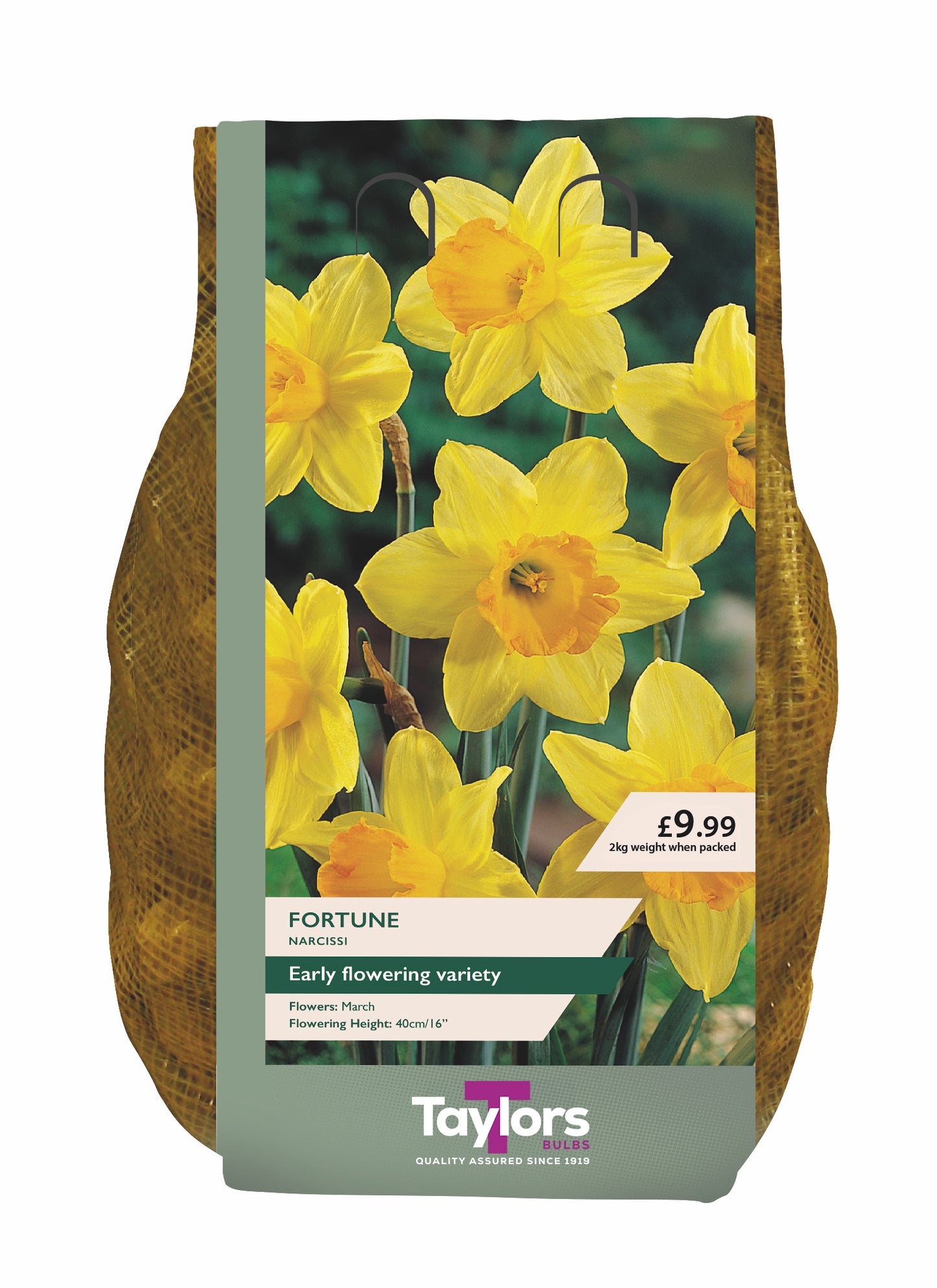 A bag of Taylors Fortune Narcissus Early Flowering Variety seed bulbs, featuring a front label with a photo of yellow daffodils and a brown mesh bag visible on the sides, on a white background.