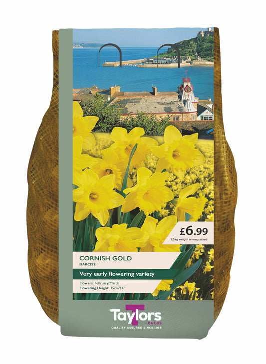Taylors Cornish Gold narcissus packaging with a scenic background