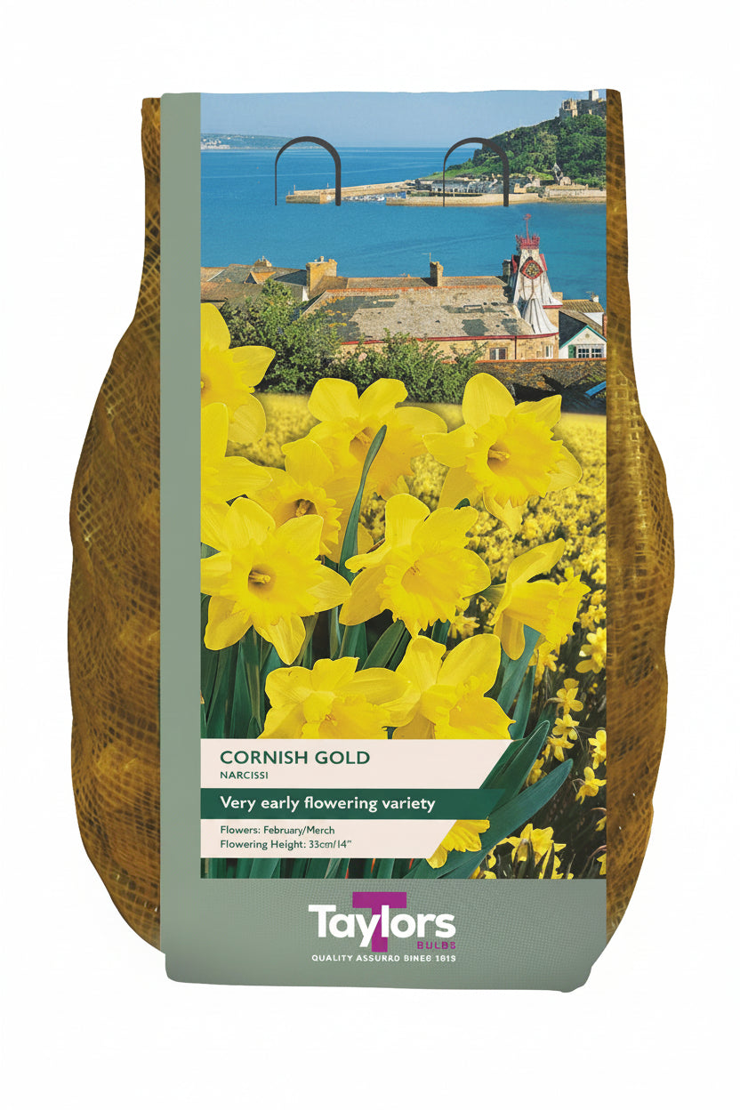 Taylors Cornish Gold narcissus packaging with a scenic background