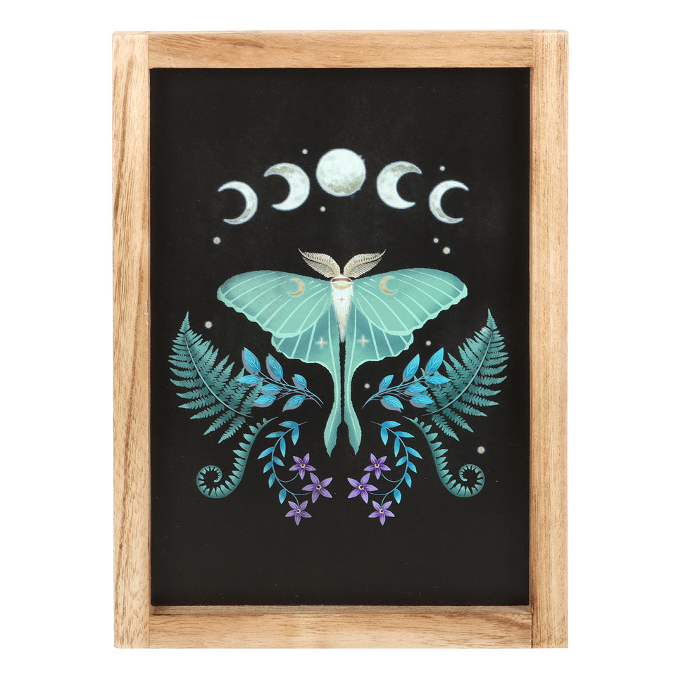 Framed artwork with a butterfly, moon phases, and ferns on a black background