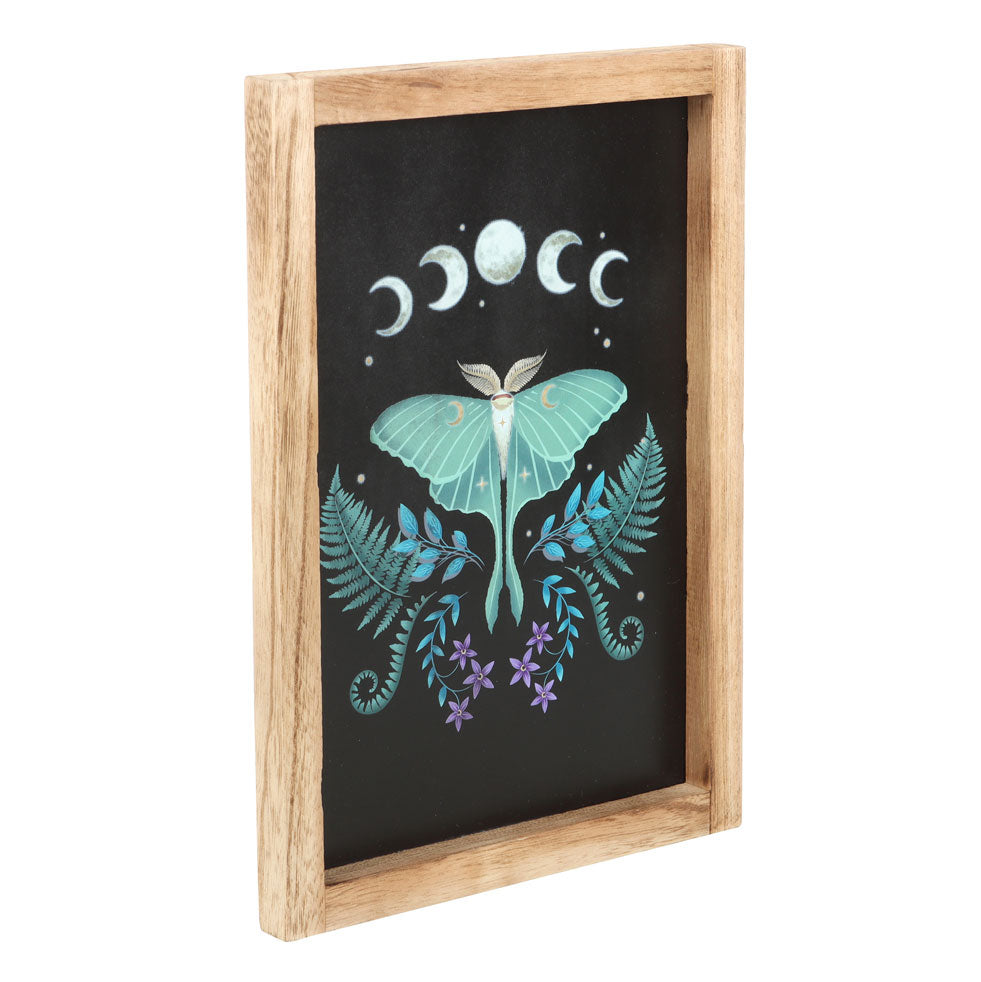 Decorative wall art with a butterfly, moon phases, and plants on a black background in a wooden frame.