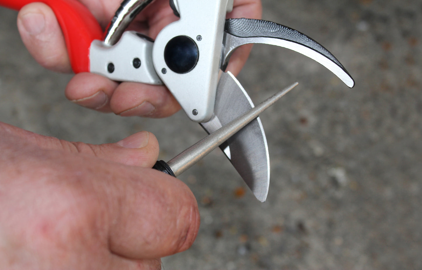Close-up of a person holding a pair of garden shears with red handles.