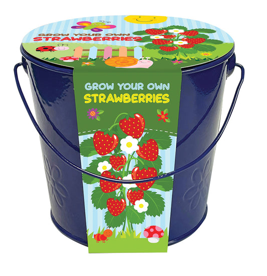 Blue metal bucket with strawberry-themed label on a white background
