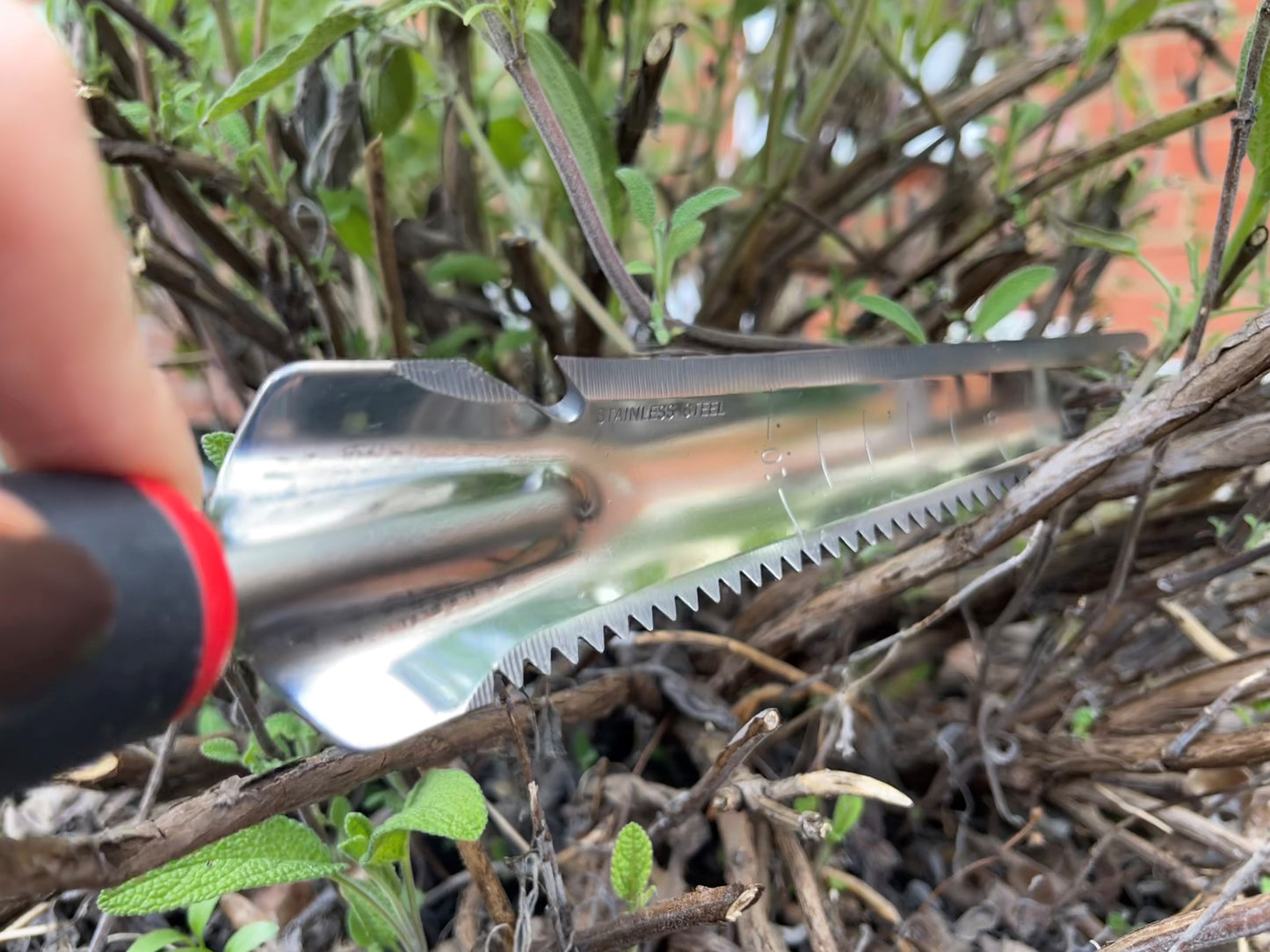 Metal tool with a serrated edge held over dry grass and leaves