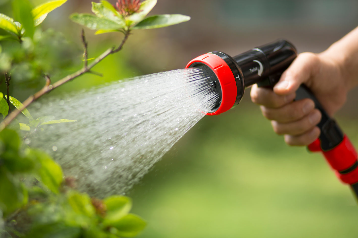 Person watering plants with a red and black garden hose.
