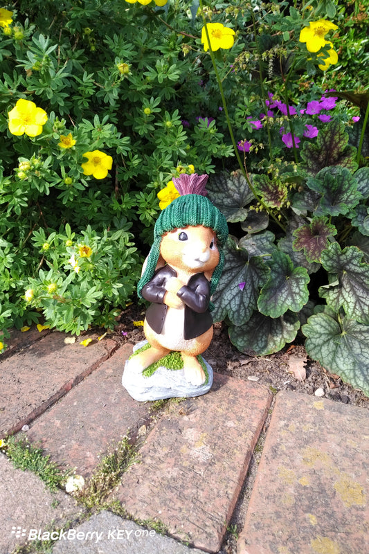 Gnome figurine with a green hat standing on a stone path surrounded by greenery and flowers.
