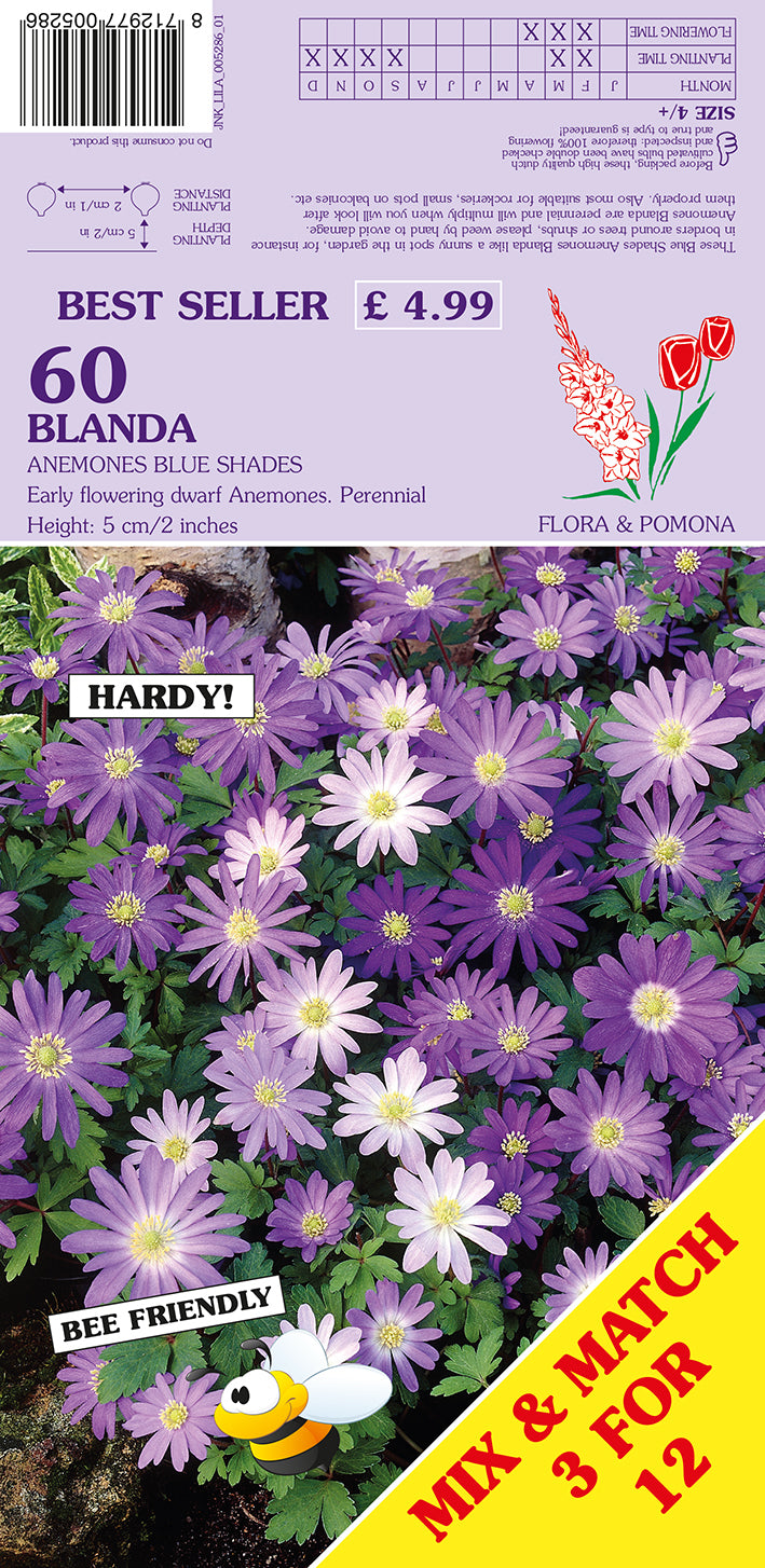 Flora & Pomona 60 Blanda hardy anemone blue-shade seed packet showing a purple and lavender flowering plant photo, product text, barcode, bee icon, and yellow 'Mix & Match 3 for 12' banner.