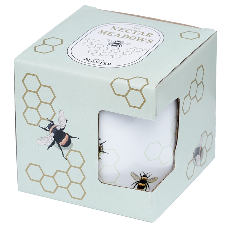 Cube planter with bee design in a decorative box labeled 'Nectar Meadows'.