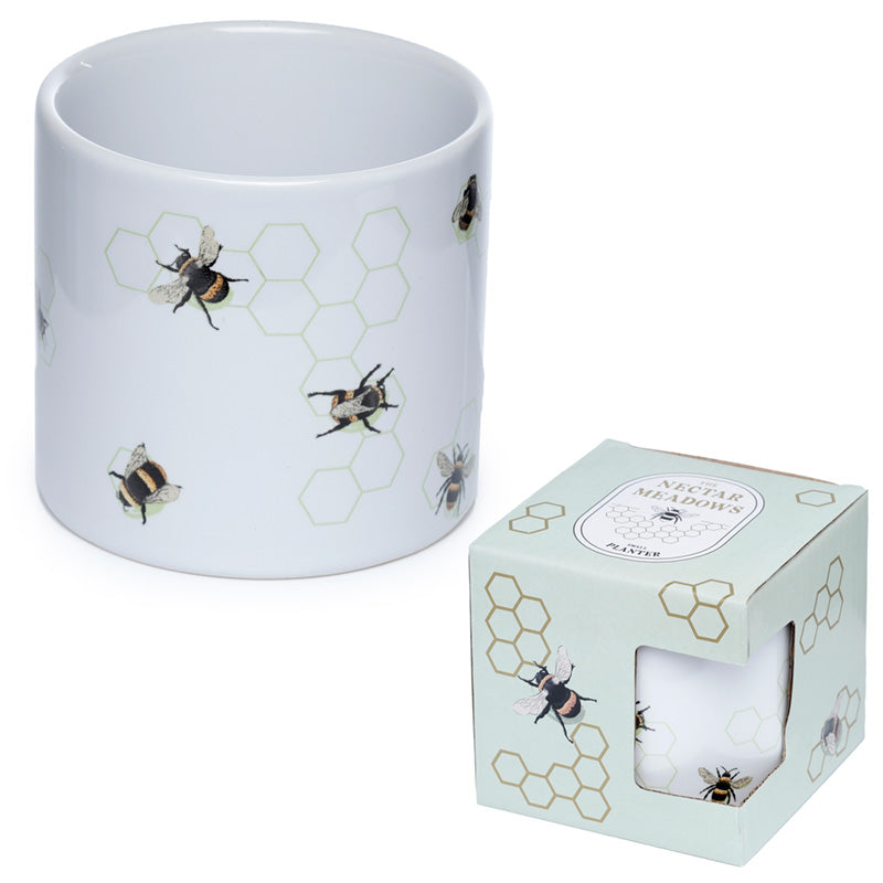 Ceramic pot with bee and honeycomb design next to its packaging box on a white background