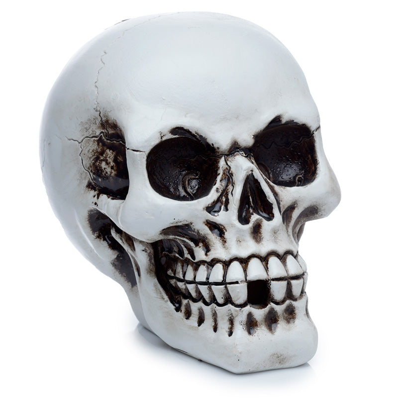 White skull figurine with black details on a white background
