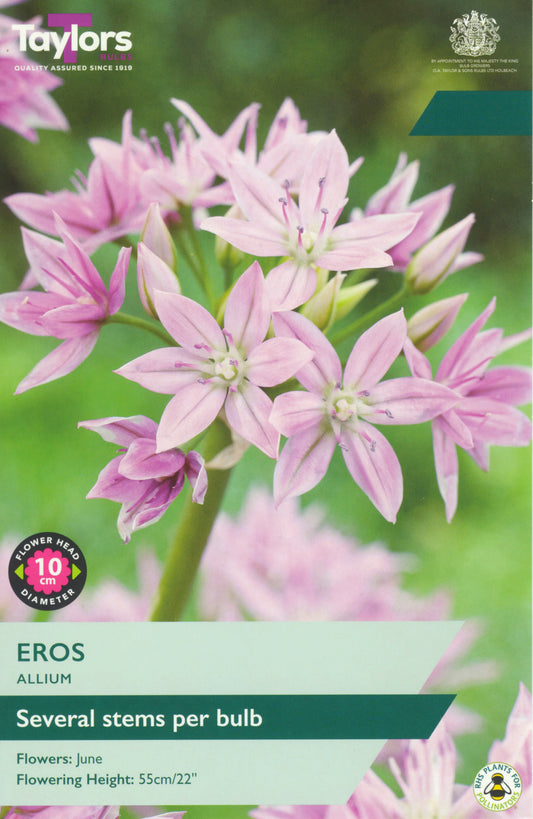 Package of Taylors Eros Allium with pink flowers on a green background