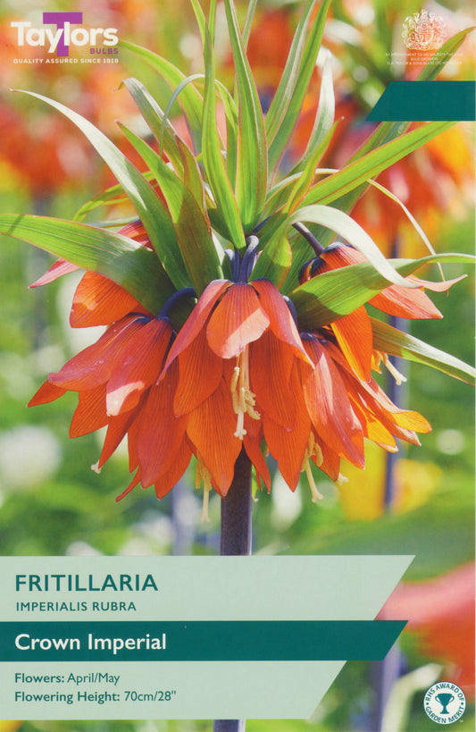 Taylors Bulbs frutillaria seed packet with red flower illustration