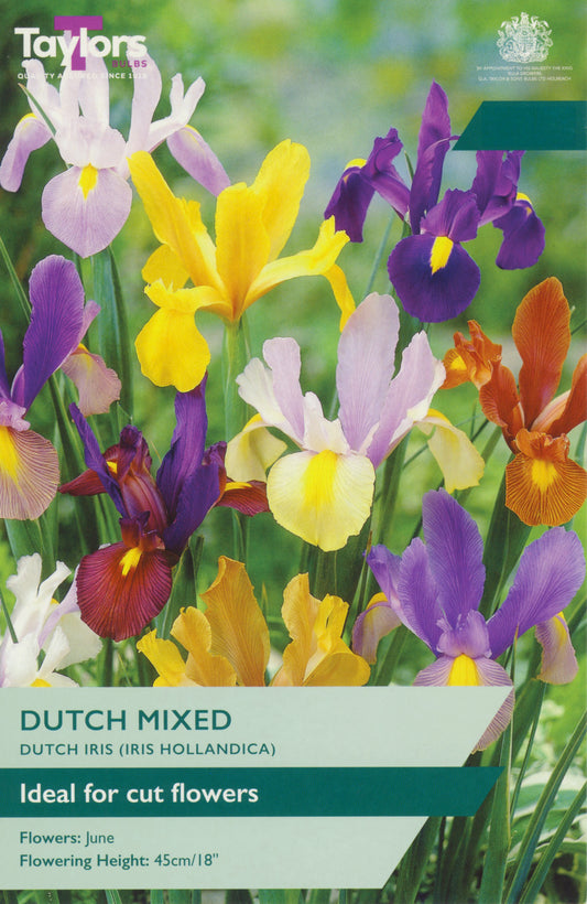 Packaging of Taylors Bulbs Dutch Mixed Dutch Iris with colorful flowers on a green background.