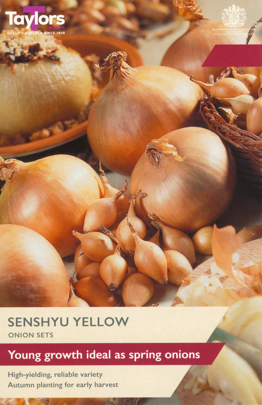 Advertisement for Senshyu Yellow onion sets with onions and packaging in the background.