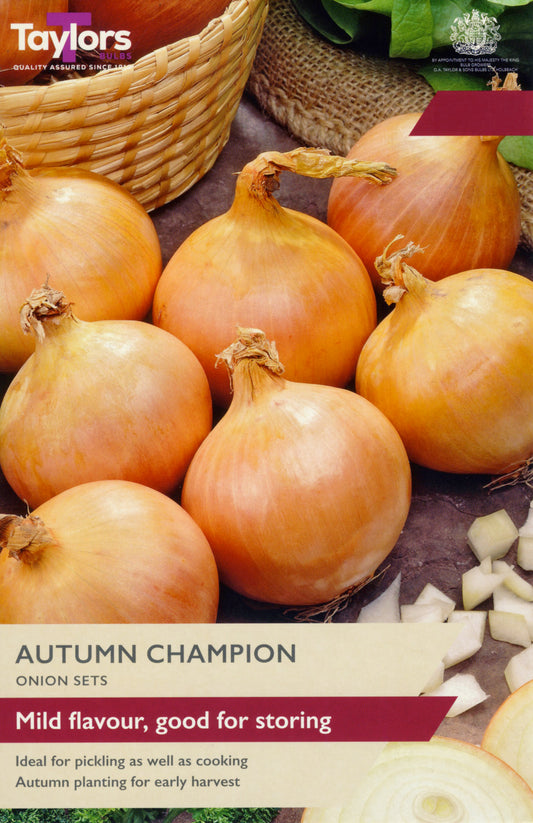 Autumn Champion onions with packaging and branding information.