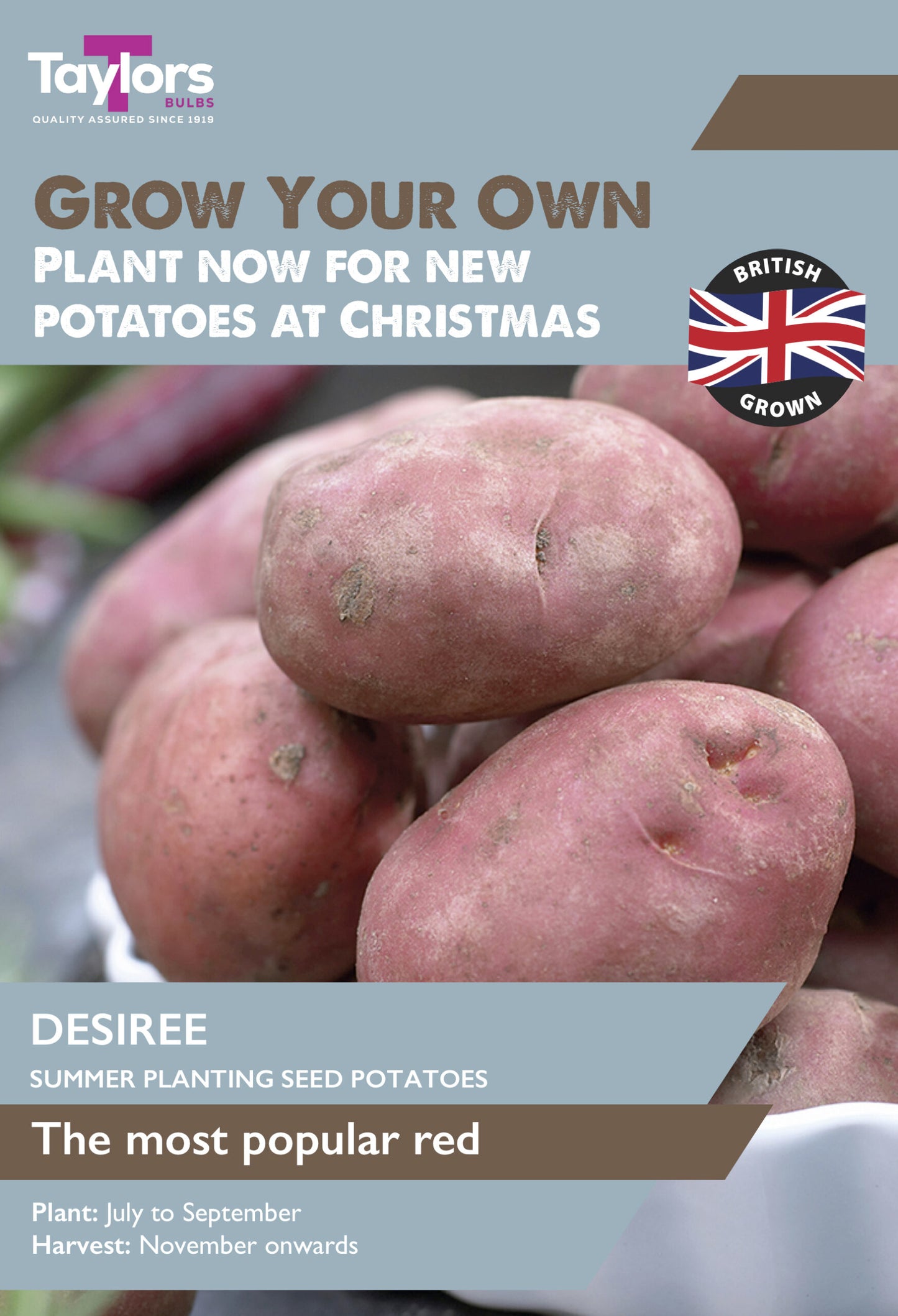 A product information card for Taylor's Desiree summer planting seed potatoes. The card features a close-up photo of red potatoes in the center, with text overlays detailing the brand, variety, and planting/harvest times on a muted blue-gray background.