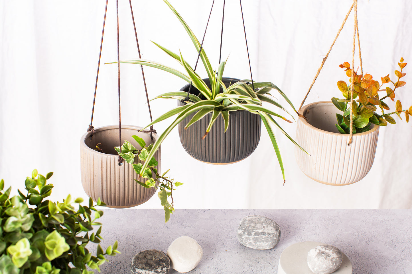 Three hanging planters with plants on a light background