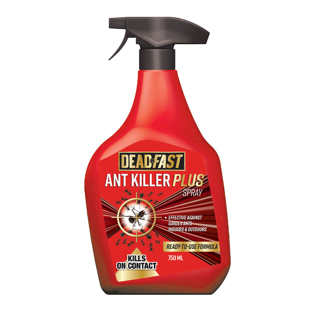 Deadfast Ant Killer Plus Spray 750ml