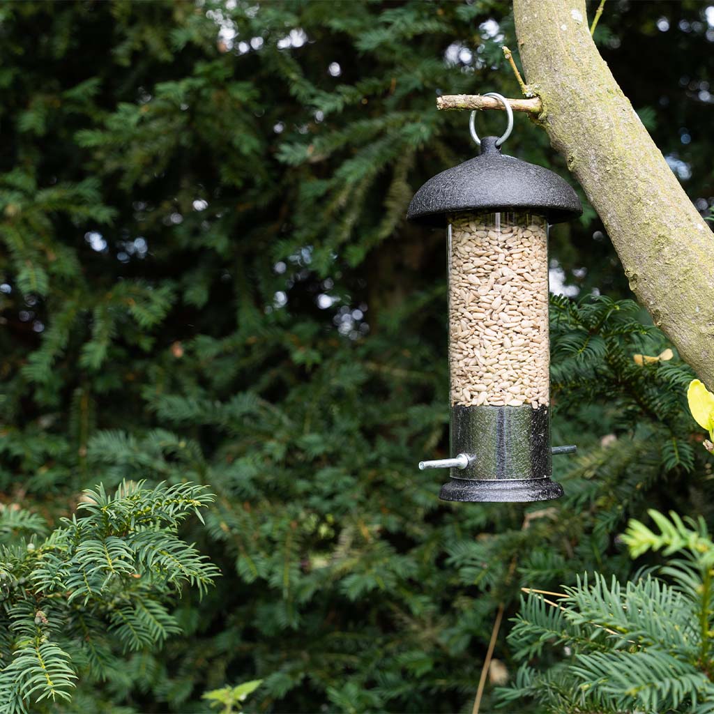 Gardman Black Steel Sunflower Hearts Feeder