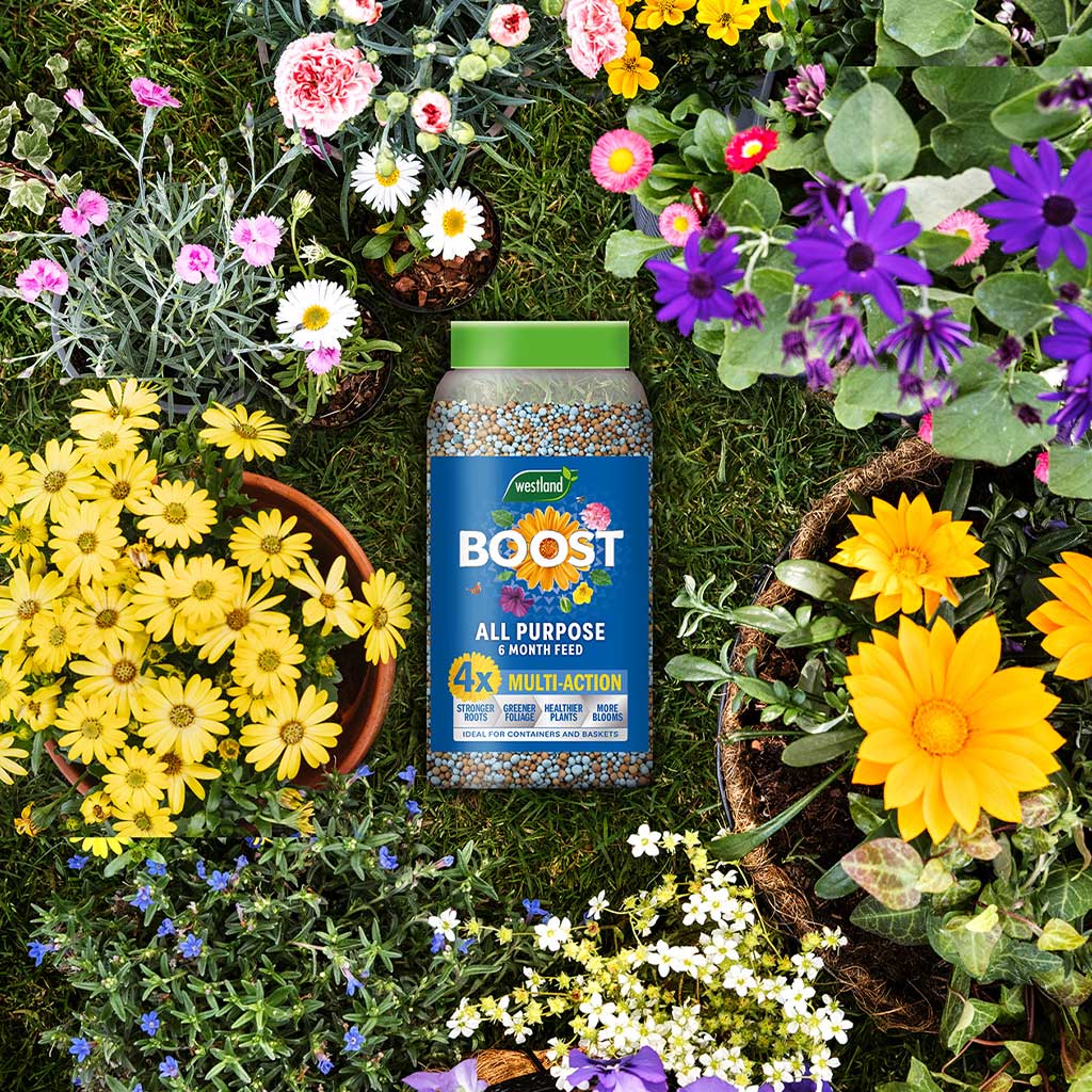Westland Boost All Purpose 6 Months Plant Feed 750g