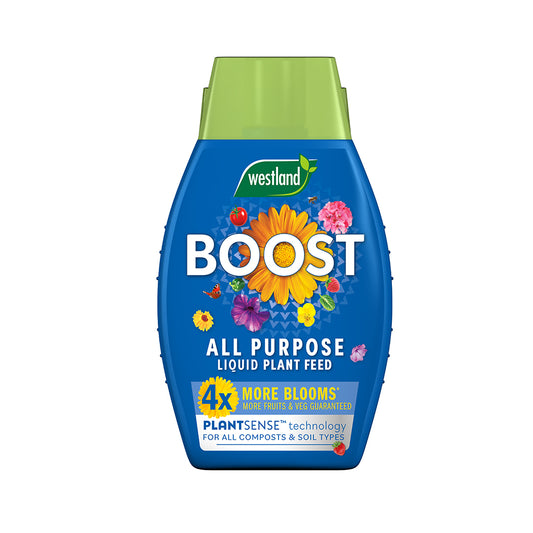 Westland Boost all-purpose liquid plant feed bottle on a white background