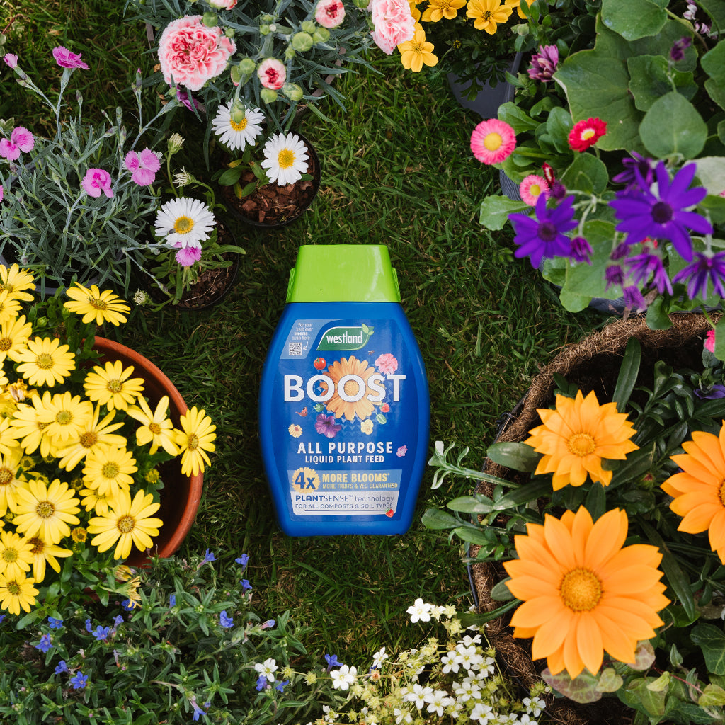 Boost all-purpose plant food bottle surrounded by flowers on grass
