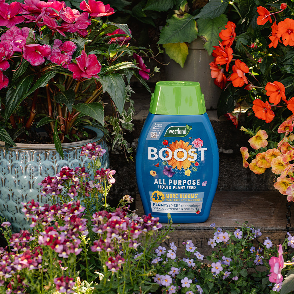 Westland Boost All Purpose Liquid Plant Feed bottle surrounded by colorful flowers