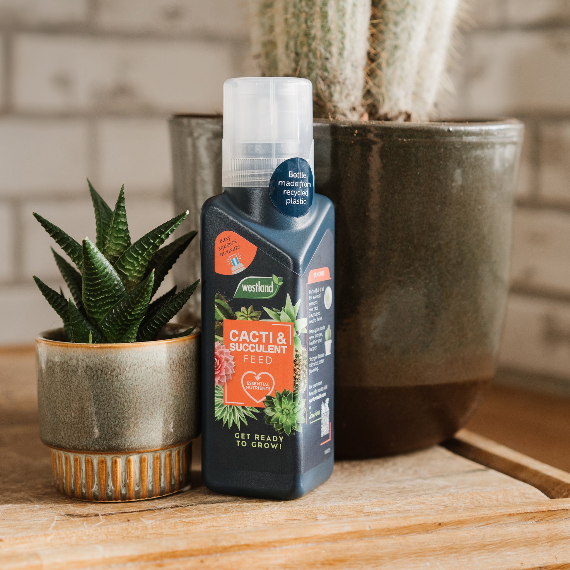 Bottle of Westland cacti and succulent feed on a wooden surface with potted plants.
