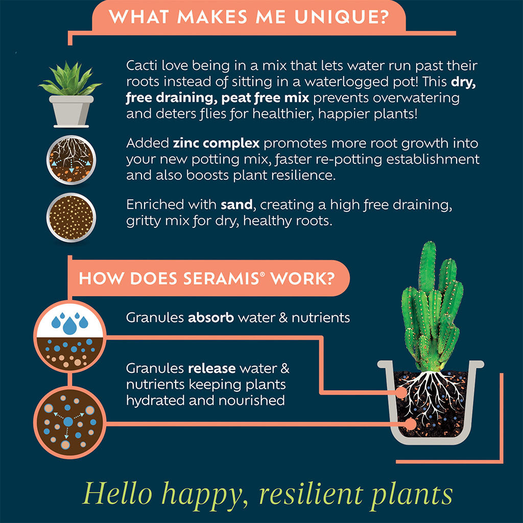 Product description of Seramis potting mix for cacti with text and illustrations on a dark blue background.