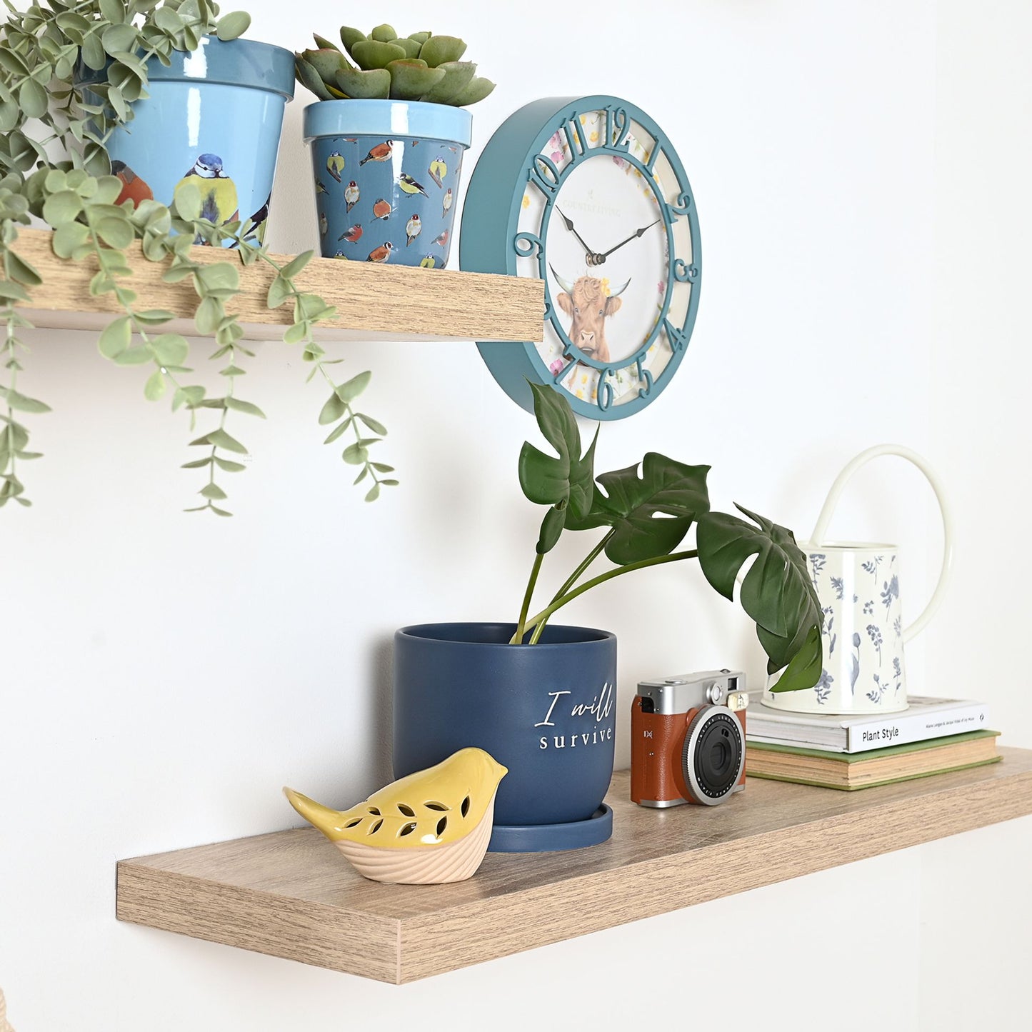 Decorative shelf with plants, clock, and small items against a white wall