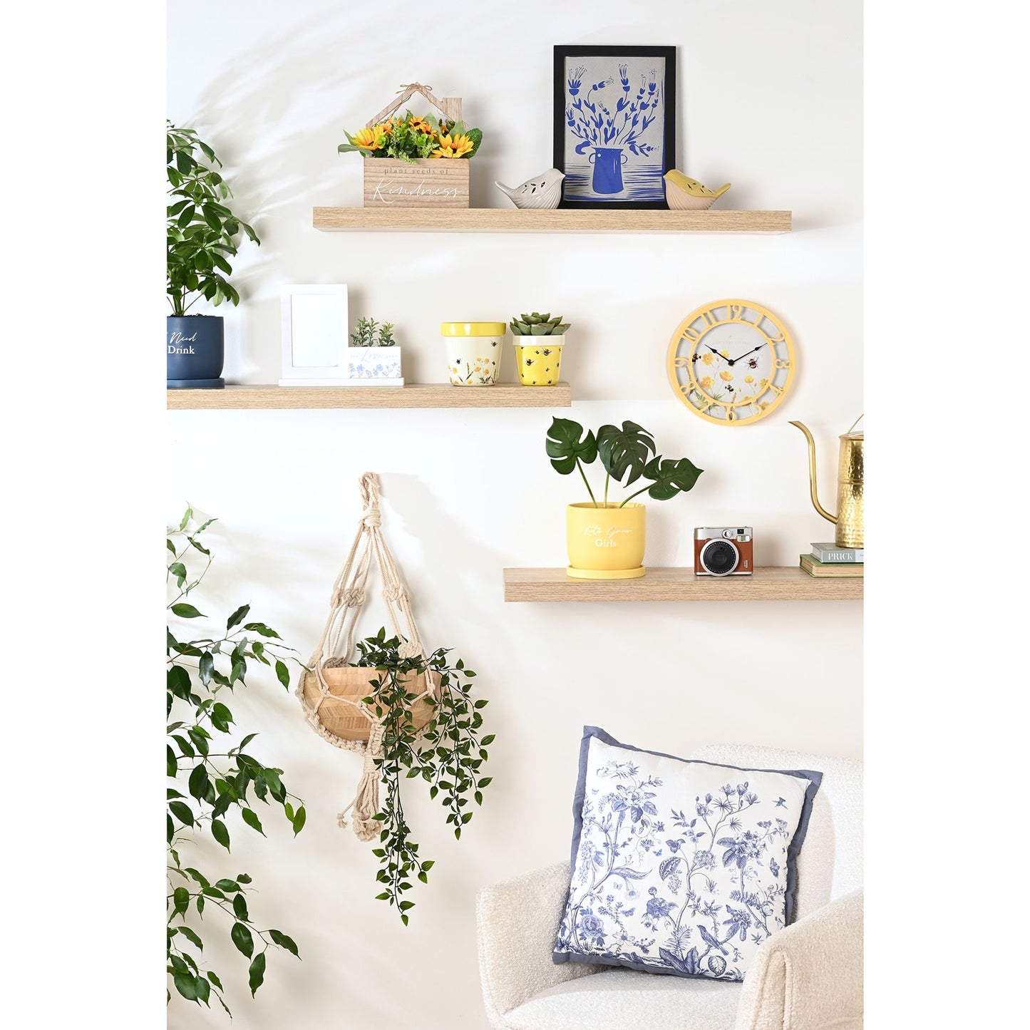 Living room with shelves, plants, and decorative items on a white wall.