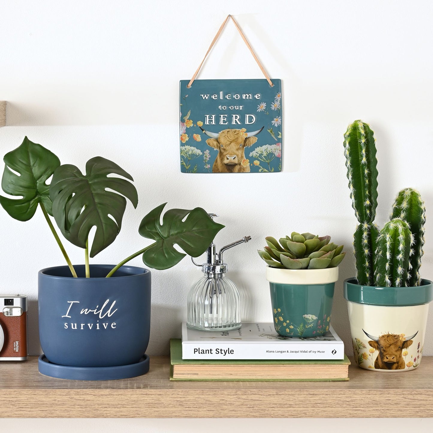 Decorative shelf with plants, books, and a hanging sign on a white wall.