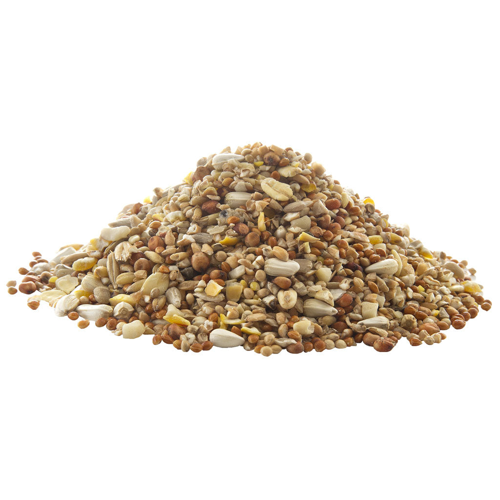 Peckish Complete Seed & Nut Bird Food 1kg