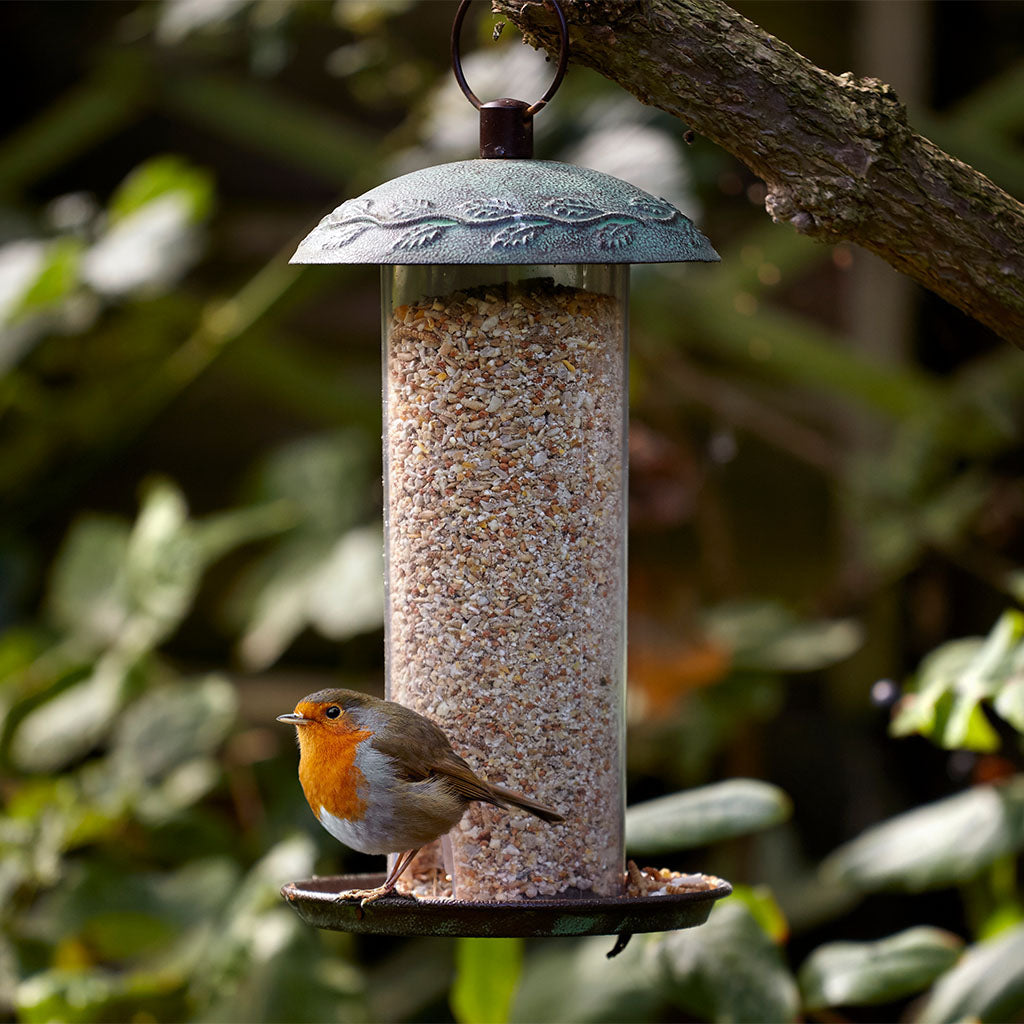 Peckish Complete Seed & Nut Bird Food 1kg