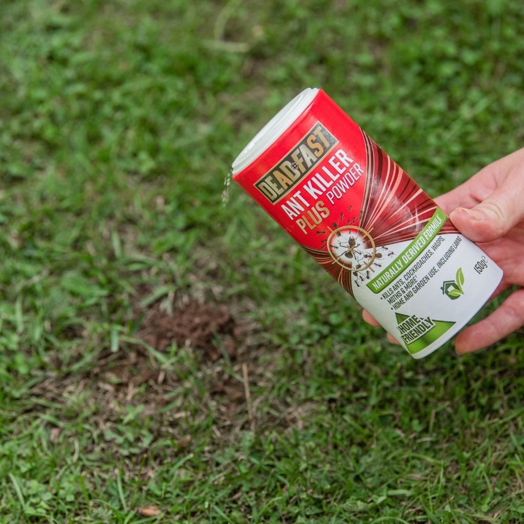 Deadfast Ant Killer Plus Powder 150g