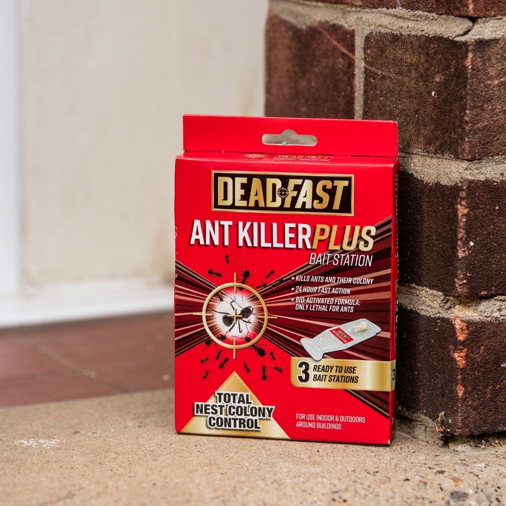 Deadfast Ant Killer Plus Bait Station 3x 4g