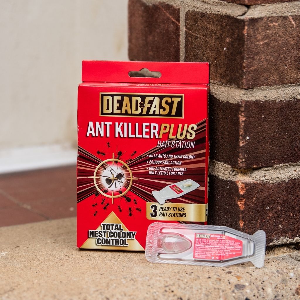 Deadfast Ant Killer Plus Bait Station 3x 4g