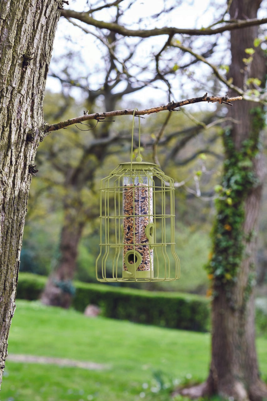 Green bird feeder hanging from a tree branch in a garden setting