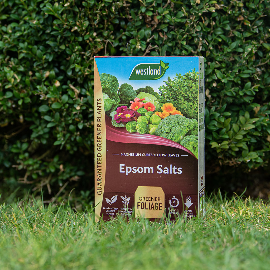 Westland Epsom Salts 1.5Kg