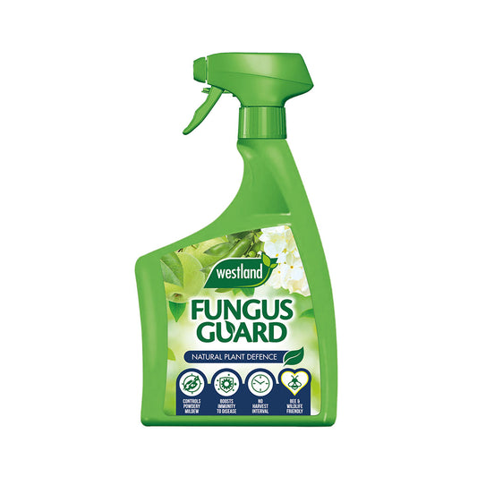 Green spray bottle labeled 'Fungus Guard' by Westland on a white background