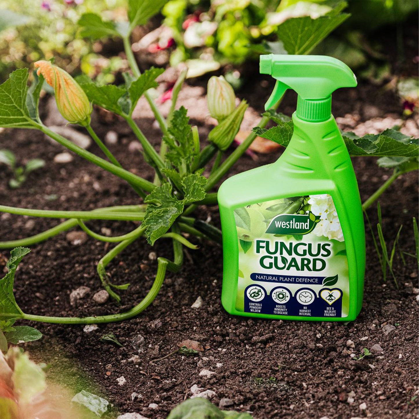 Westland Fungus Guard RTU 800ml