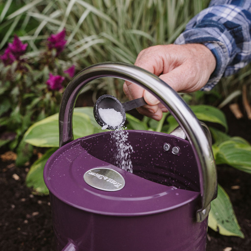 Person using a purple watering can with a plant in the background