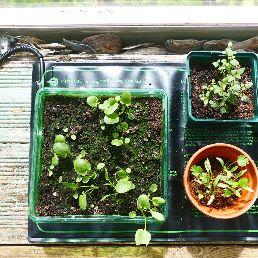 Westland Gro-Sure Heated Propagation Mat