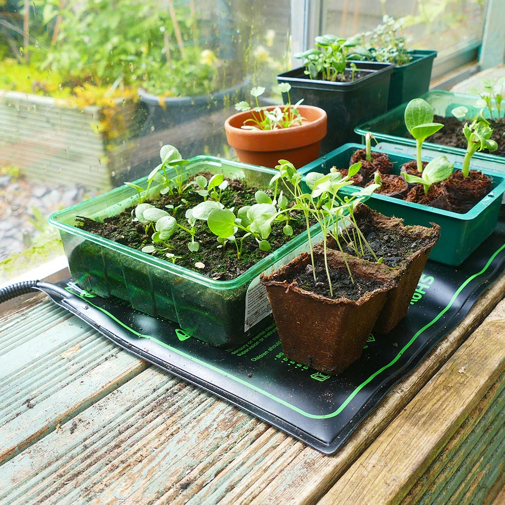 Westland Gro-Sure Heated Propagation Mat
