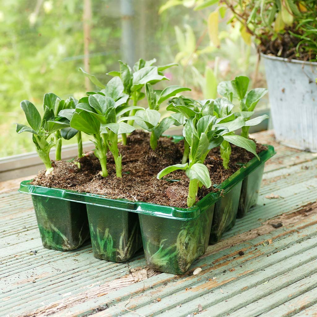 Westland Gro-Sure Visiroot 9 Cell Tray 8 Pack
