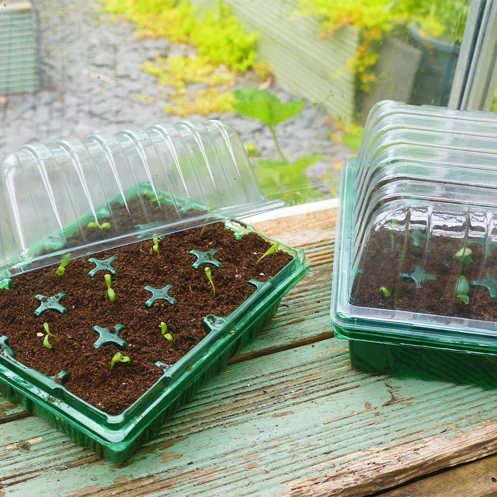 Westland Gro-Sure Visiroot Twin Propagator Set