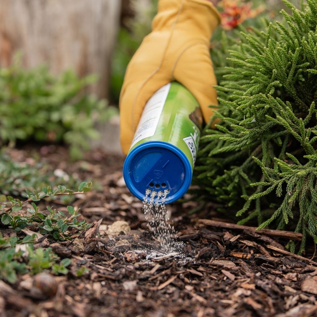 Growing Success Cat Repellent 500g