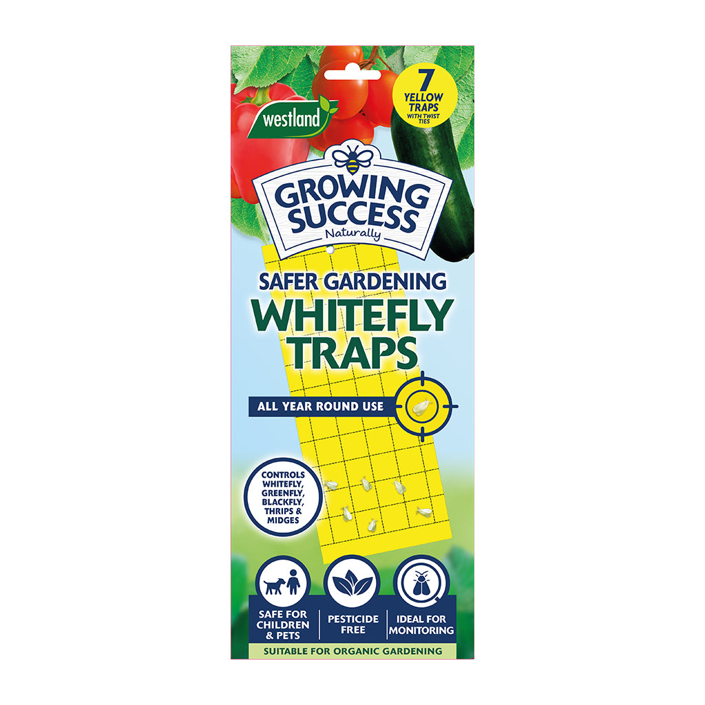 Growing Success Greenhouse Whitefly Traps