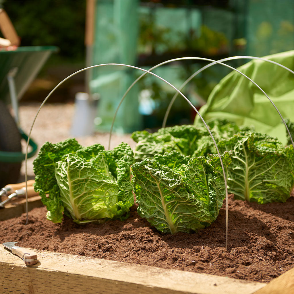 Grow It Grow Tunnel Hoops in a garden bed